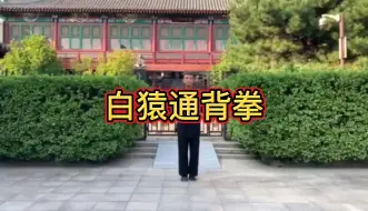 Tải video: 白猿通背拳套路展示