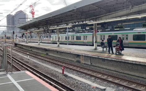 【新塗色】 e259系 特急成田エクスプレス