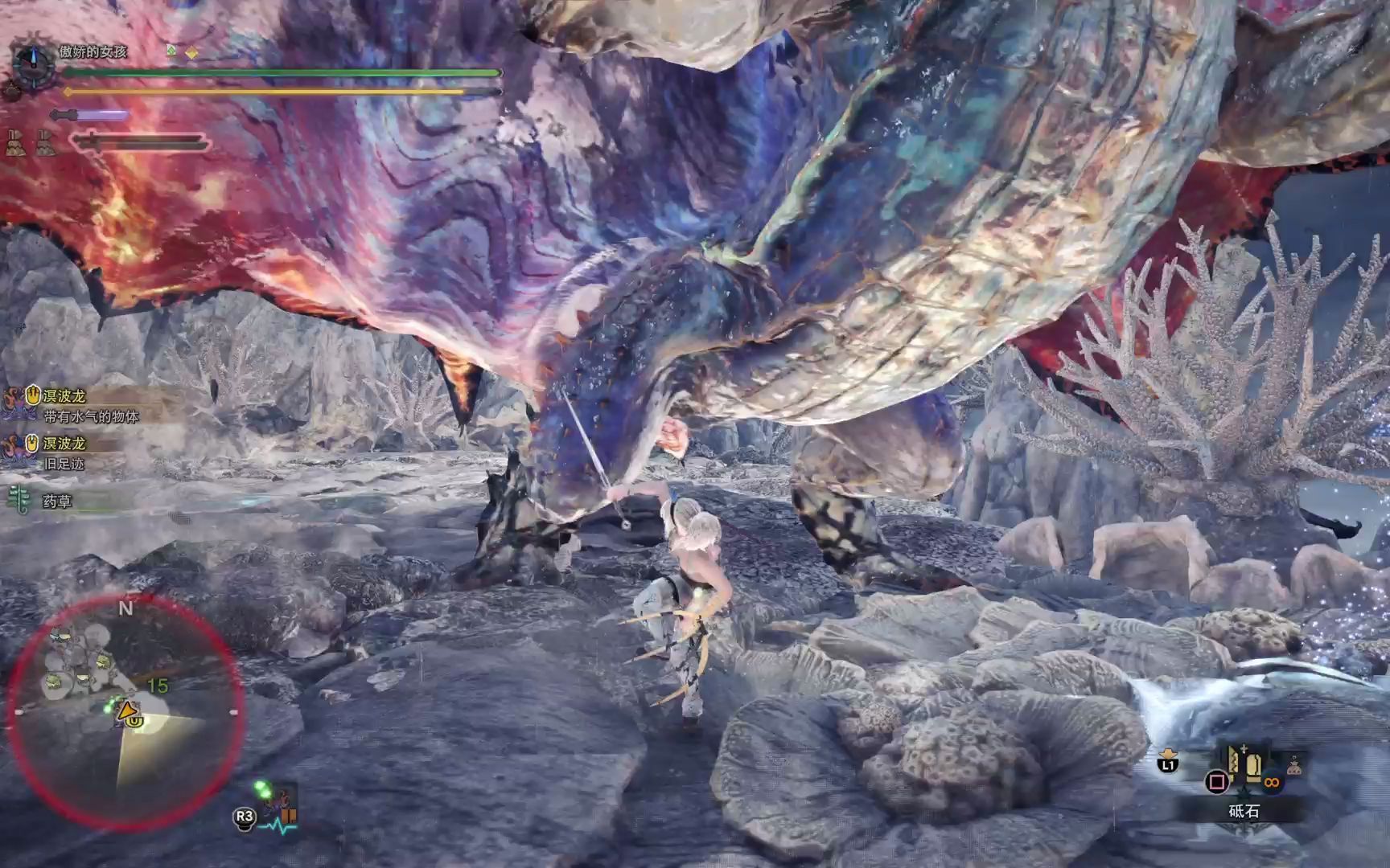 黑龙双刀 ta规则 坠机 溟波龙 448 (打不进3好伤心)