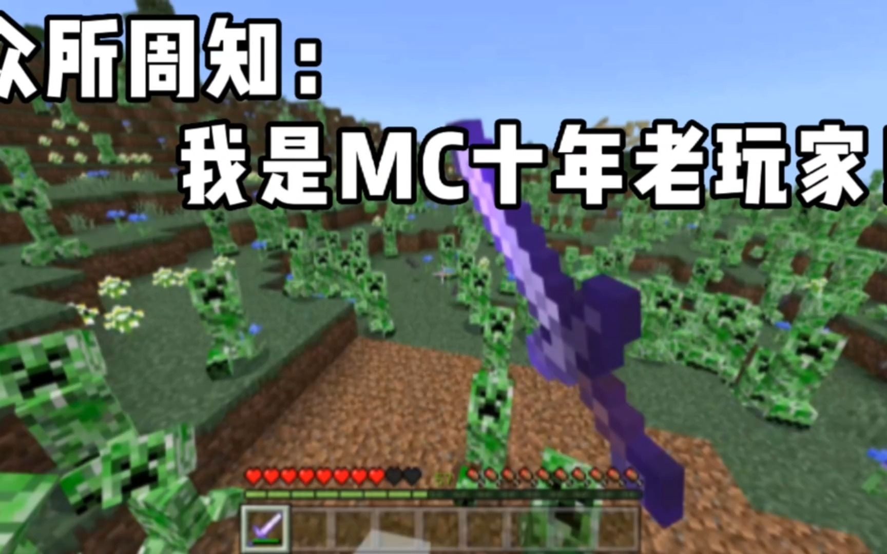 [图]我的世界：众所周知！我是MC十年老玩家！