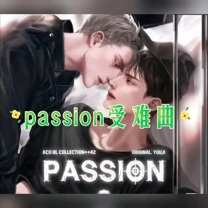 [图]韩漫《passion受难曲》中文小说完结(机/人翻)