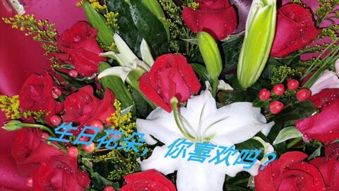 23岁的我 从没收过花 可怜 同事生日 别人送的花 先放在我这里 想象一下 这是送给我的吧 哔哩哔哩 23岁的我 从没收过花 可怜 同事生日 别人送的花 先放在我这里 想象一下 这是送给我的吧 哔哩哔哩