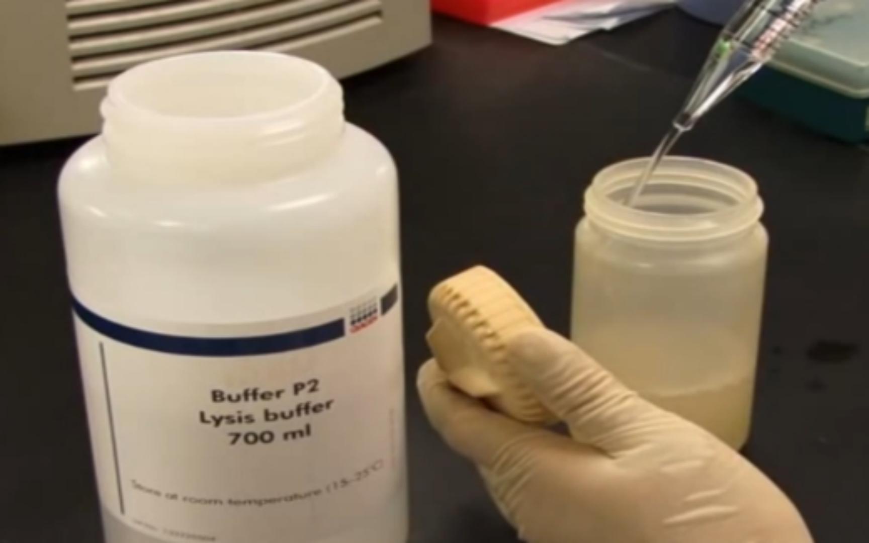 Plasmid DNA Extraction Megaprep Protocol