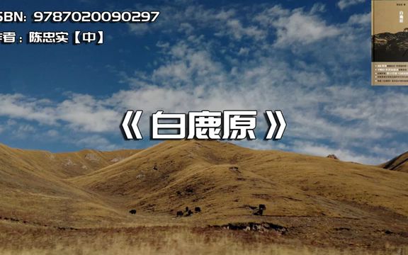 《白鹿原》:读懂陈忠实,你就读懂了社会人心哔哩哔哩bilibili