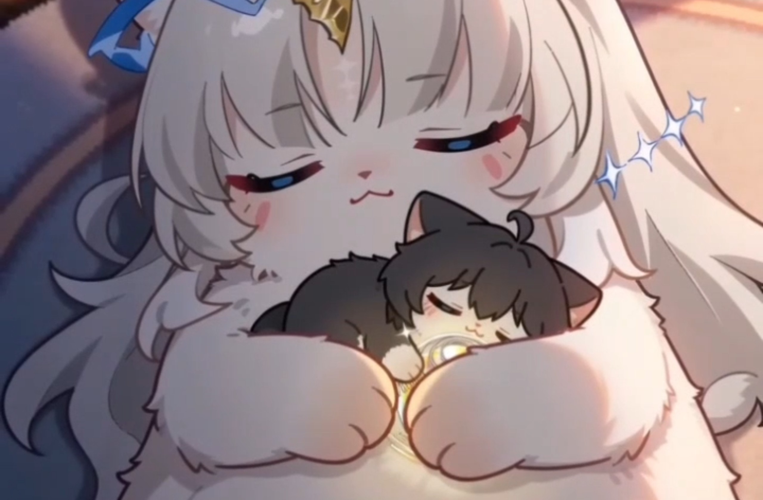 秋季温差大，大猫暖乎乎