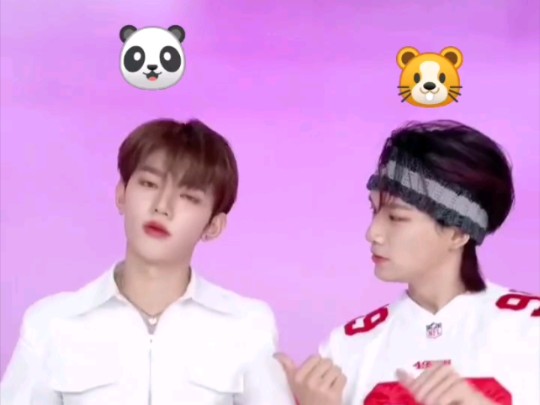 我的前任小仓鼠和现任小熊猫 我真的被萌死了 哭了哭了