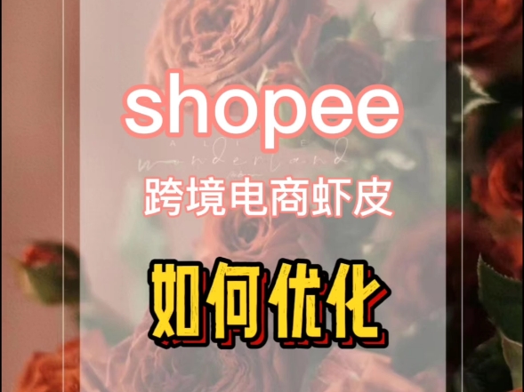 跨境电商虾皮shopee如何优化哔哩哔哩bilibili