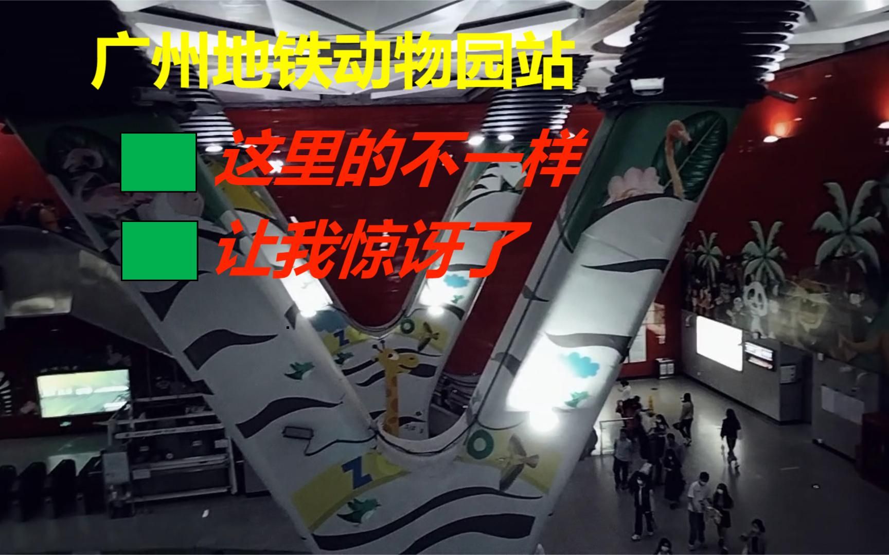 逛广州动物园地铁站,这里有哪些地方的不一样,让我惊讶了?哔哩哔哩bilibili