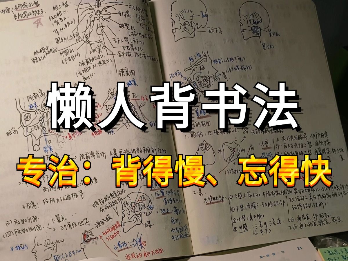 一个能通过任何考试的背书方法!原来右脑记忆力比左脑强大100万倍!记忆力开挂,一天背一本书!哔哩哔哩bilibili