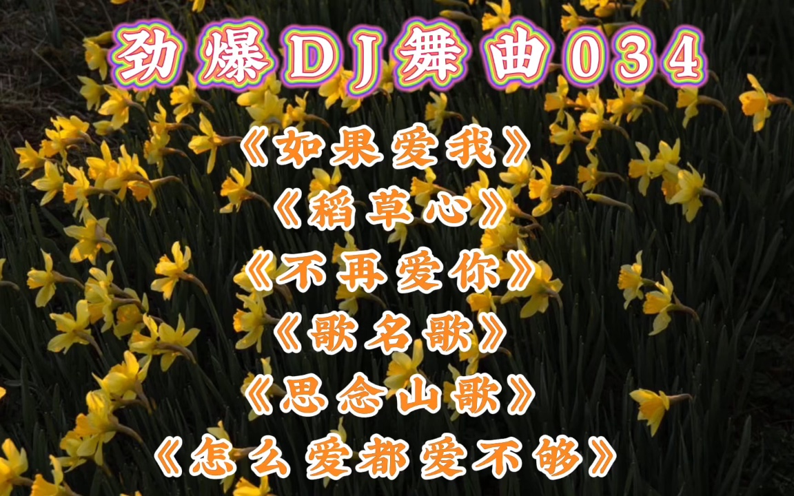 dj舞曲034如果爱我稻草心不再爱你歌名歌