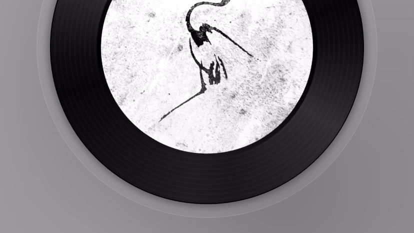 鹤形西皮士2009卧龙ayo972019