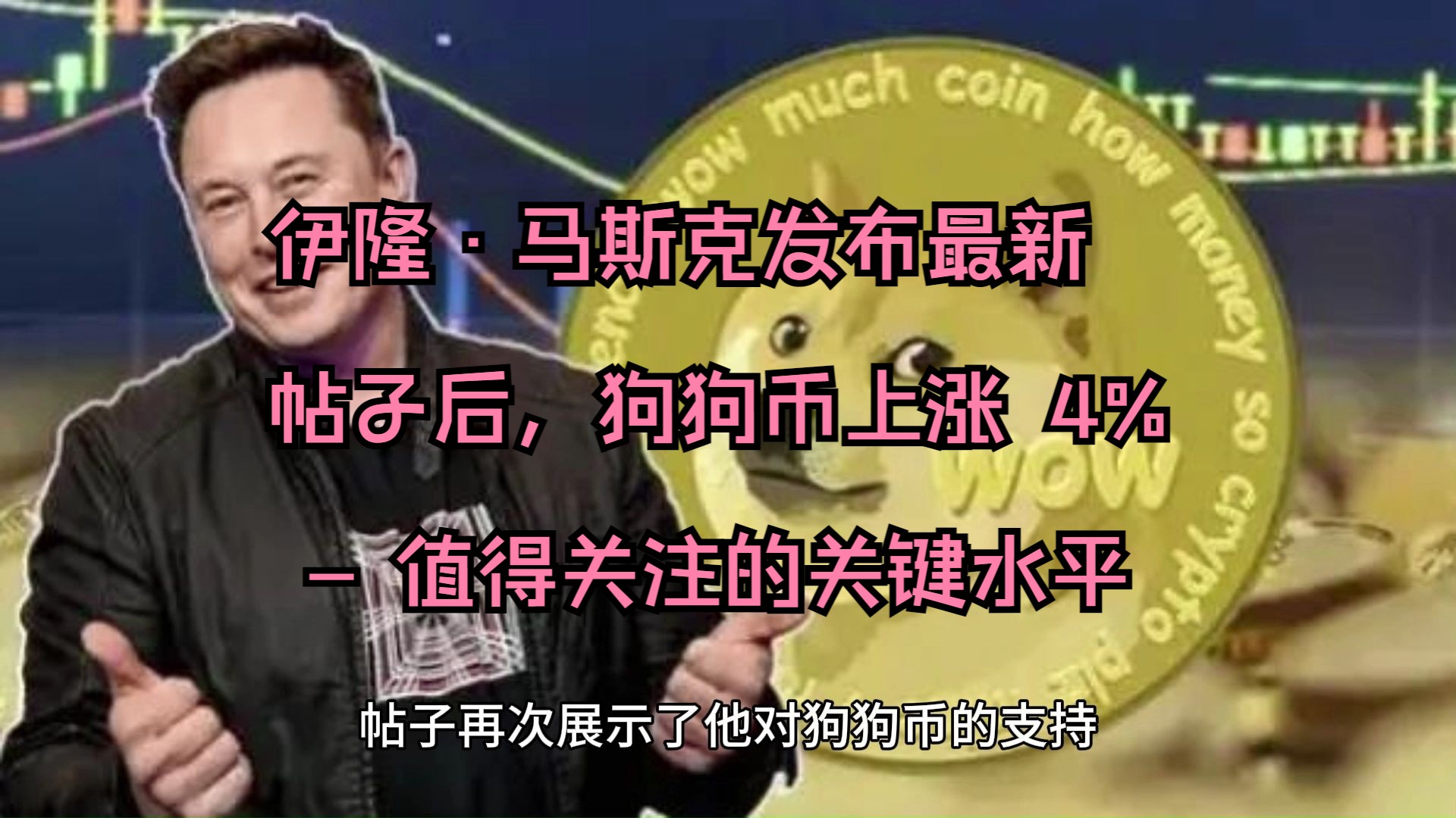 伊隆·马斯克发布最新帖子后,狗狗币上涨 4% – 值得关注的关键水平