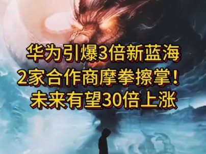 华为引爆3倍新蓝海,2家合作商摩拳擦掌!未来有望30倍上涨!哔哩哔哩bilibili