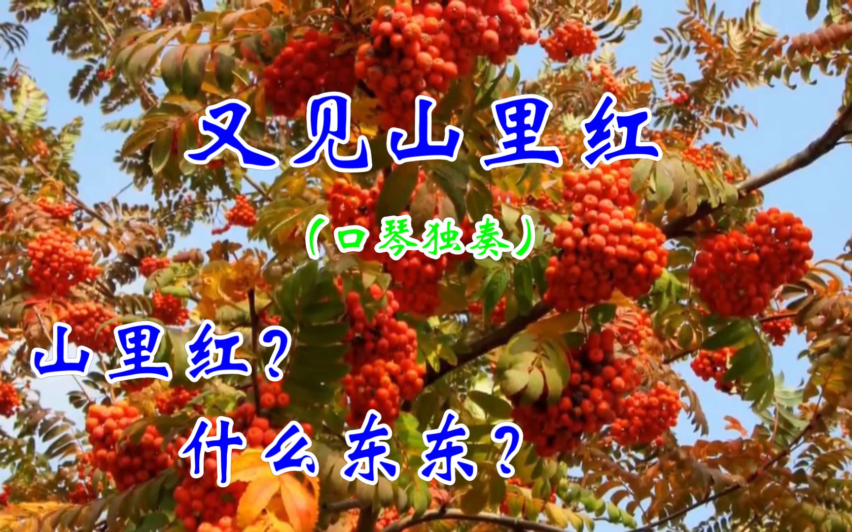 《又见山里红》- 口琴独奏 简谱 赏歌赏景赏口琴 学歌学琴学简谱口琴