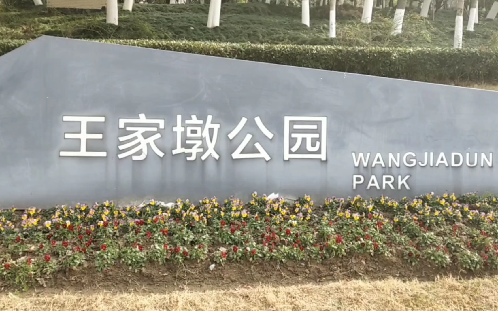 武汉王家墩公园