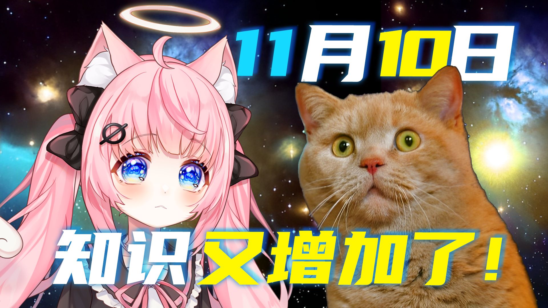 "1+1=10"!—只属于今天的数学题(11月10日)哔哩哔哩bilibili