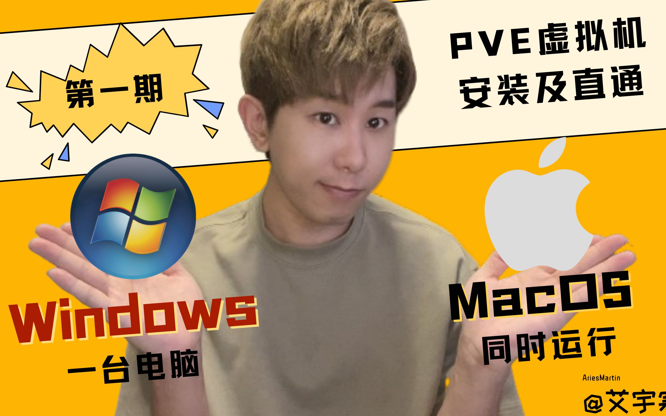 一台电脑同时运行Windows和Mac双系统第一期PVE虚拟机安装及直通哔哩哔哩bilibili