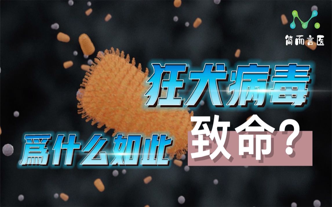 [图]【浅说病毒】狂犬病为什么令人恐惧？高度嗜神经的潜伏杀手——狂犬病毒