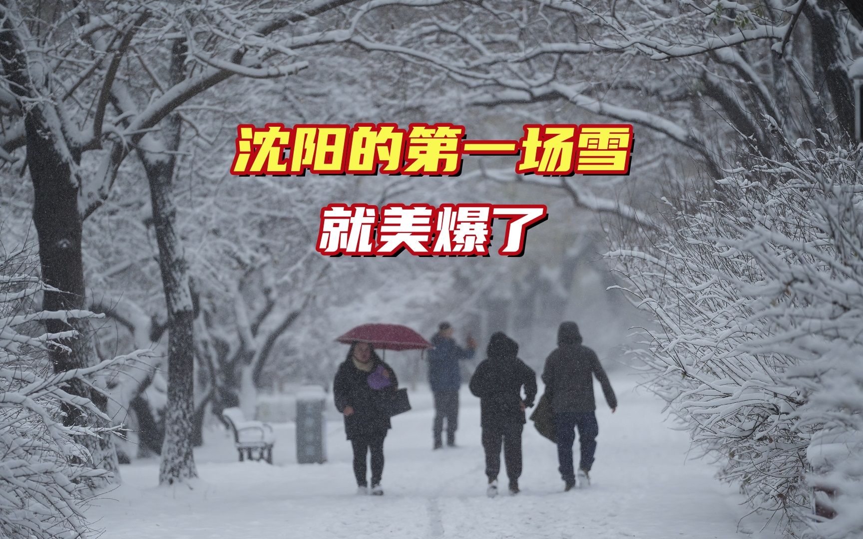 瀋陽今冬第一場雪提前到來了,而且是一場毫不含糊的大雪,美爆了