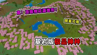 Download Video: 我的世界：3个网易基岩版极品种子！顶级桃花源地形！能玩一百年