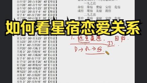 搜索 哔哩哔哩 つロ干杯 Bilibili