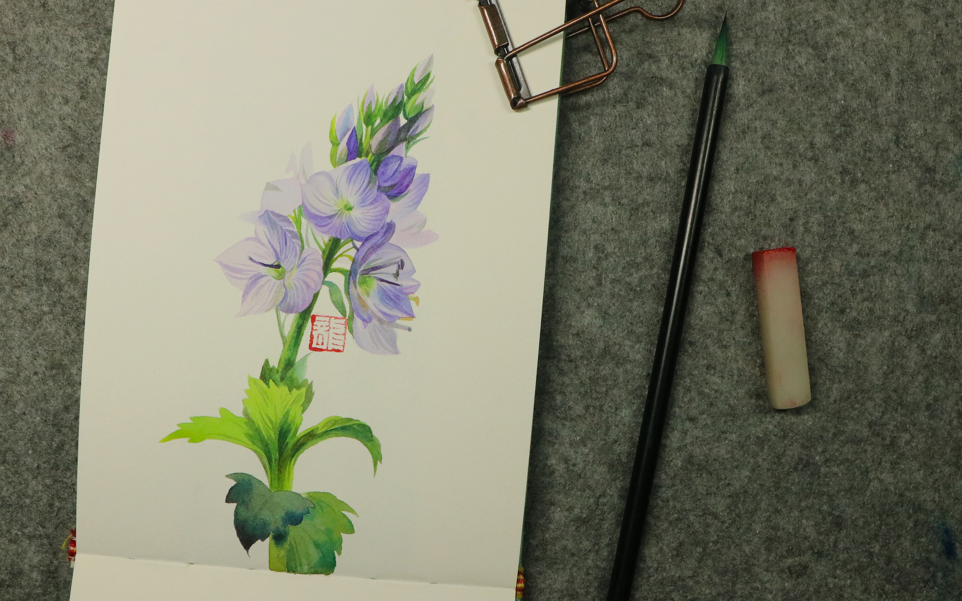 【水彩】有关于春天——苜蓿