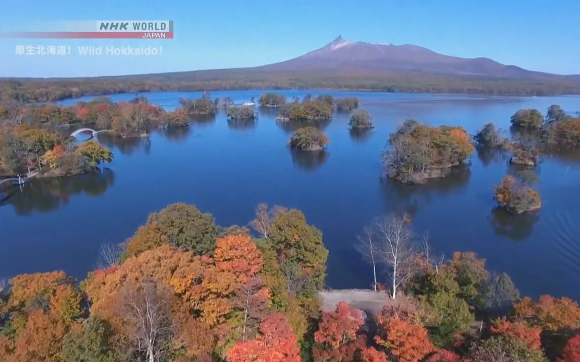 纪录片.NHK.原生北海道.大沼之春哔哩哔哩bilibili