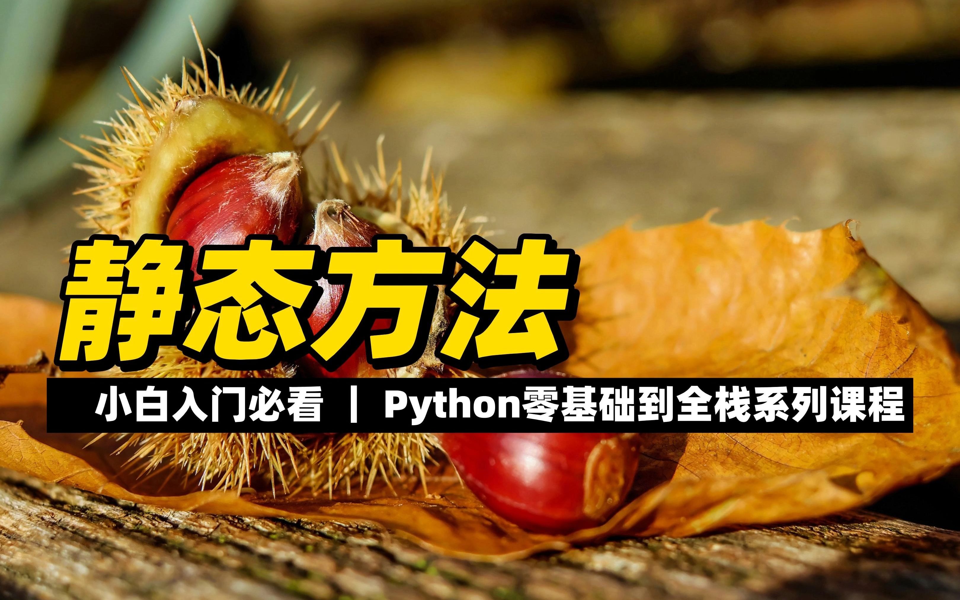 静态方法  《Python零基础到全栈系列》哔哩哔哩bilibili