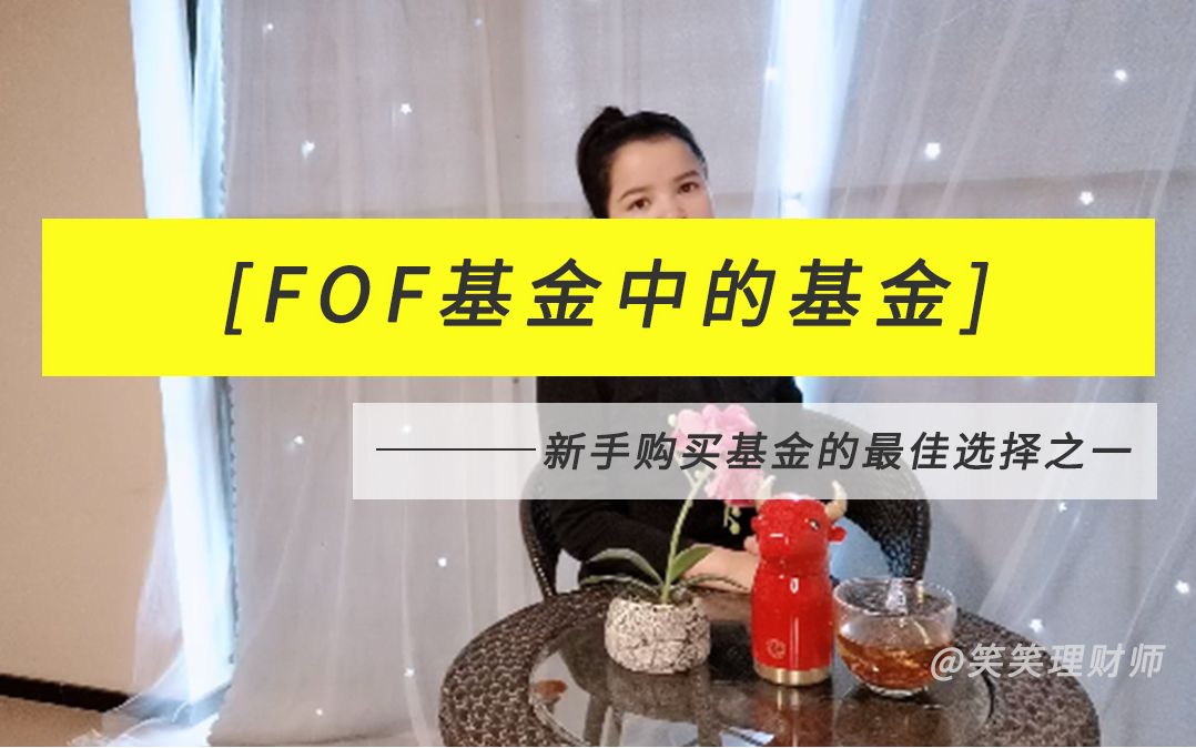 [FOF基金中的基金] 新手购买基金的最佳选择之一哔哩哔哩bilibili