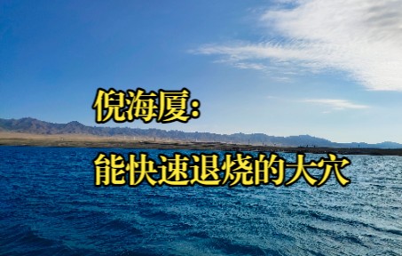 [图]倪海厦：能快速退烧的大穴