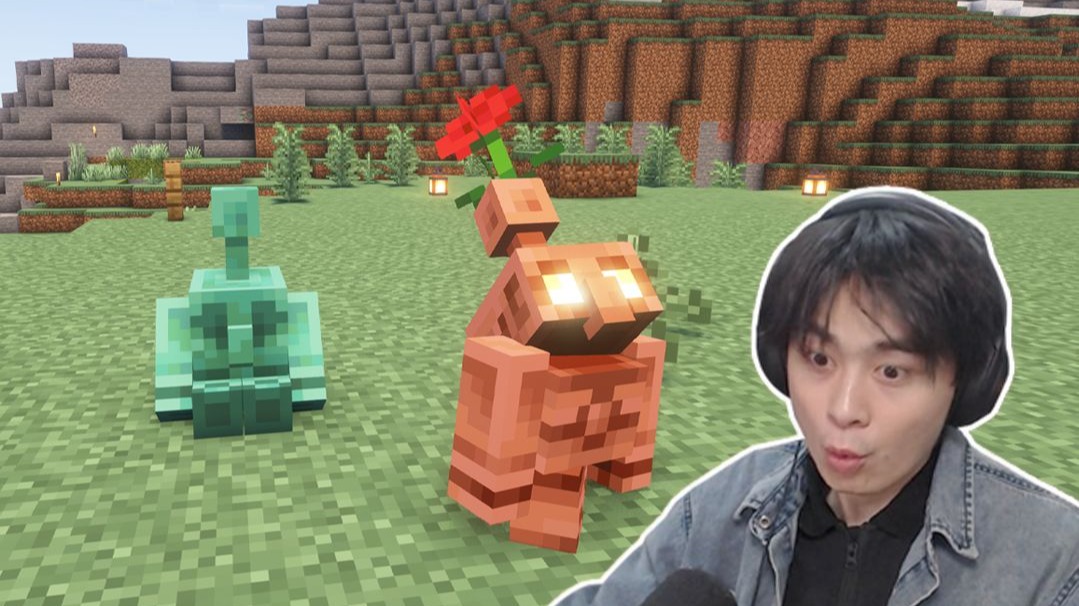 M C 非 法 雇 佣 这 一 块 ！