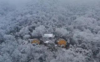 雪深山福子 哔哩哔哩 Bilibili