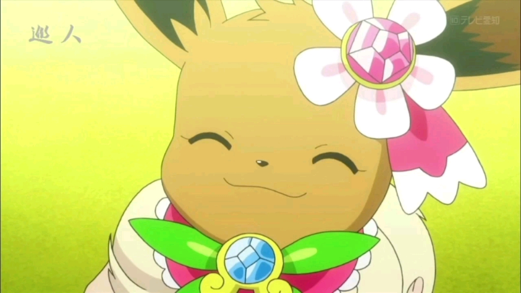 失落的伊布 莎莉娜的安慰