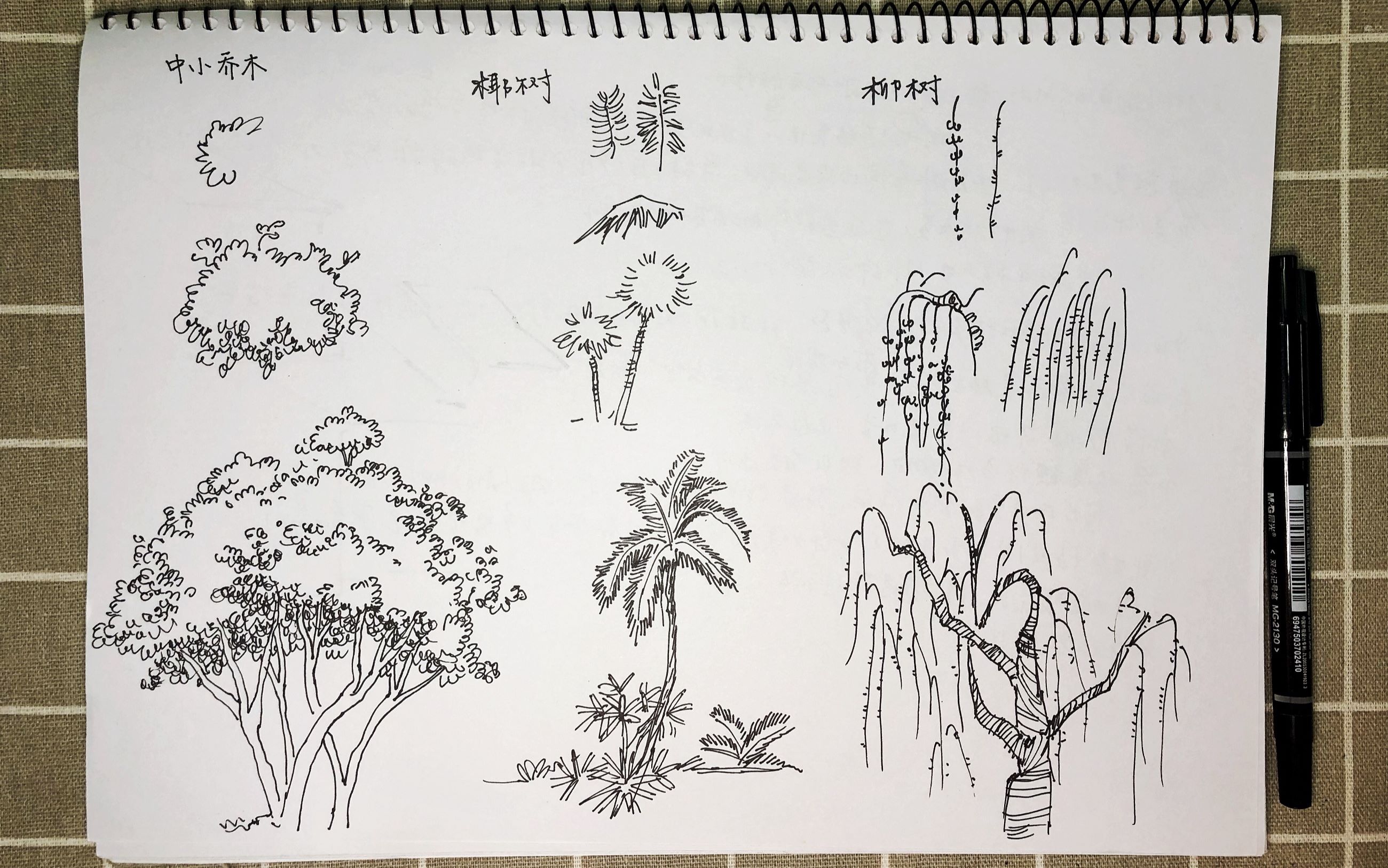 树叶素描画法图片