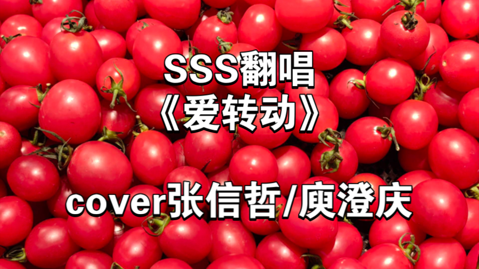 SSS翻唱《爱转动》,cover张信哲/庾澄庆哔哩哔哩bilibili