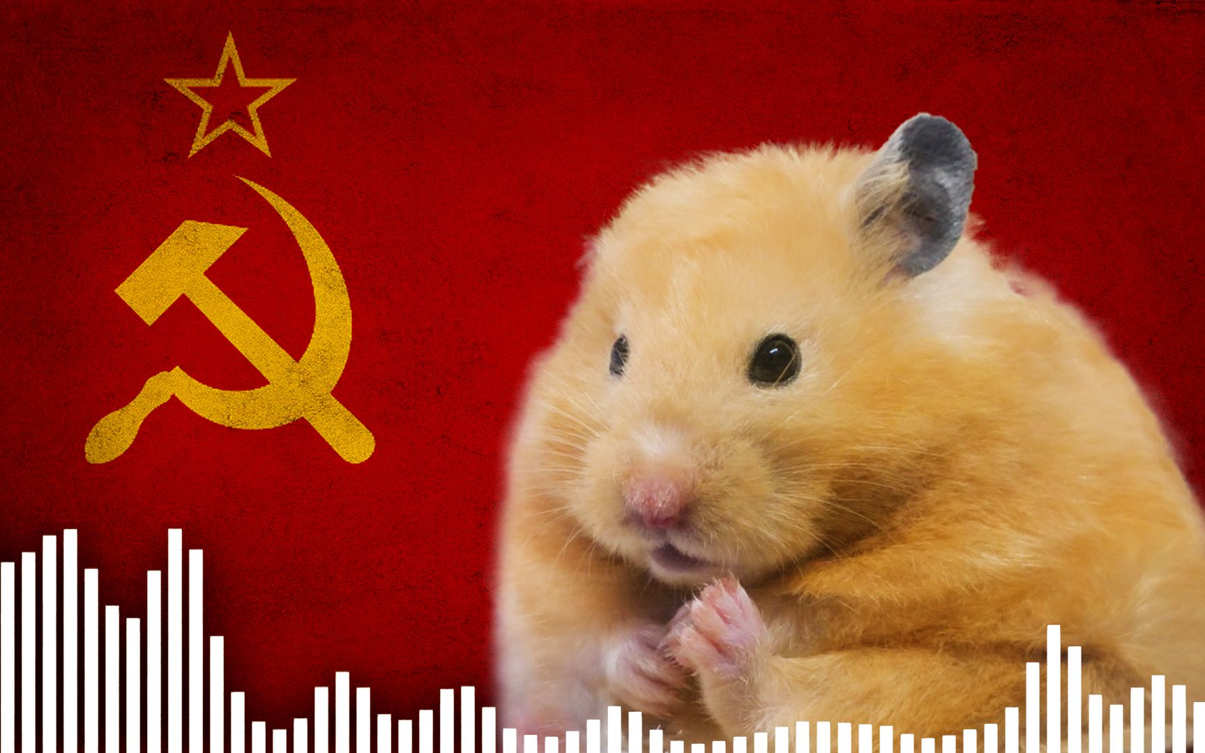 活动  【苏维埃古典乐】仓 鼠 跳 舞 循 环