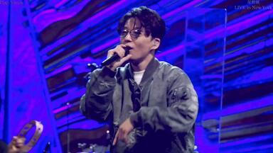 星野源 STRANGER IN BUDOKAN STRANGER IN BUDOKAN | WORKS | Gen Hoshino Official Site