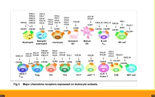 Download Video: 癌生物学06.趋化因子的表观遗传