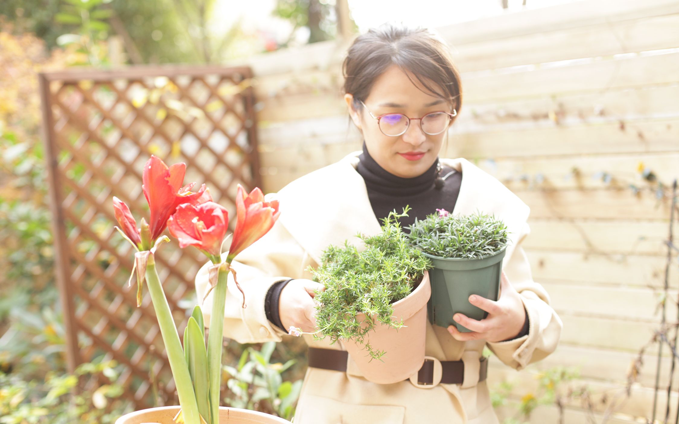 4种会开花的“草坪”,种一颗就能长出一片“花地毯”哔哩哔哩bilibili