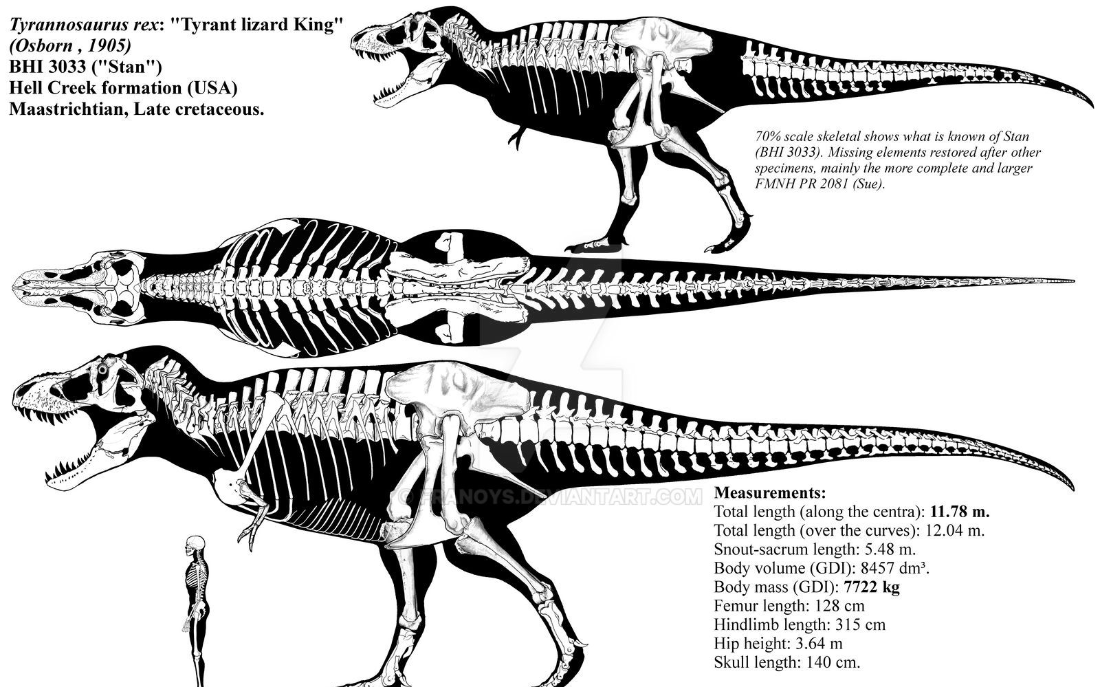 [图]DinoG的恐龙课合集