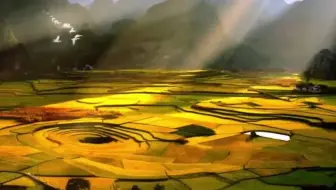 中秋情浓 青山礼更浓