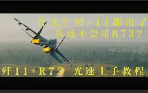 Download Video: 【战争雷霆】歼11+R73快速上手教程