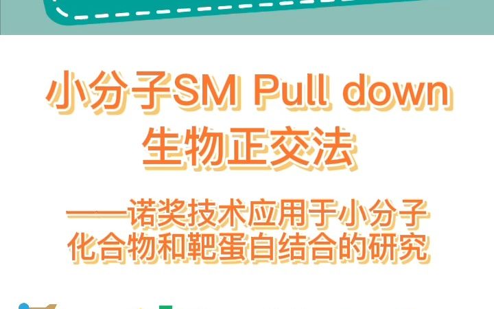 小分子SM pull down生物正交法钟鼎生物哔哩哔哩bilibili