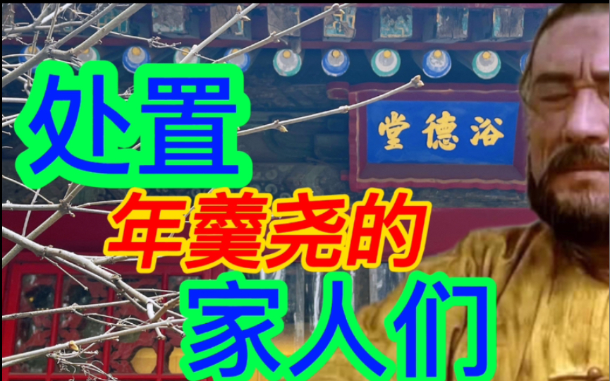 年羹尧被赐死后,他的家人如何了,雍正是怎么对待他们的哔哩哔哩bilibili