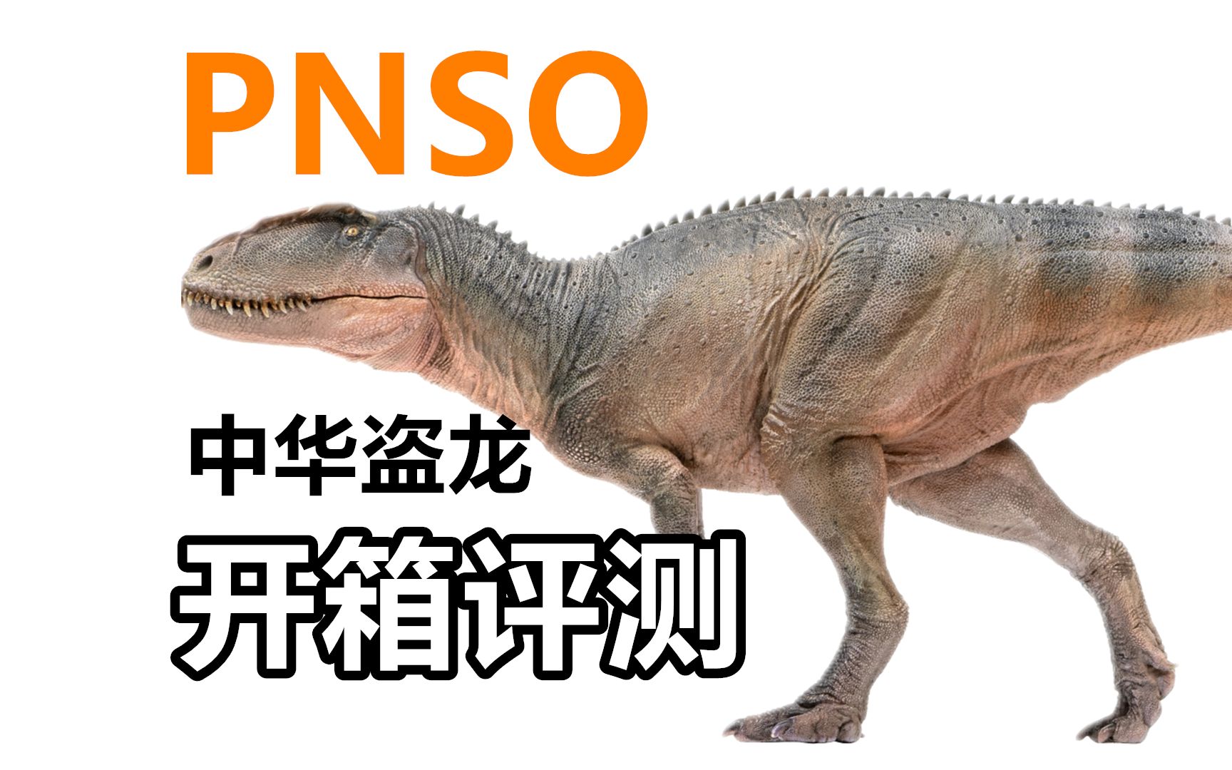 暴虐龙竟有中国血统?【pnso】1/35中华盗龙开箱评测!