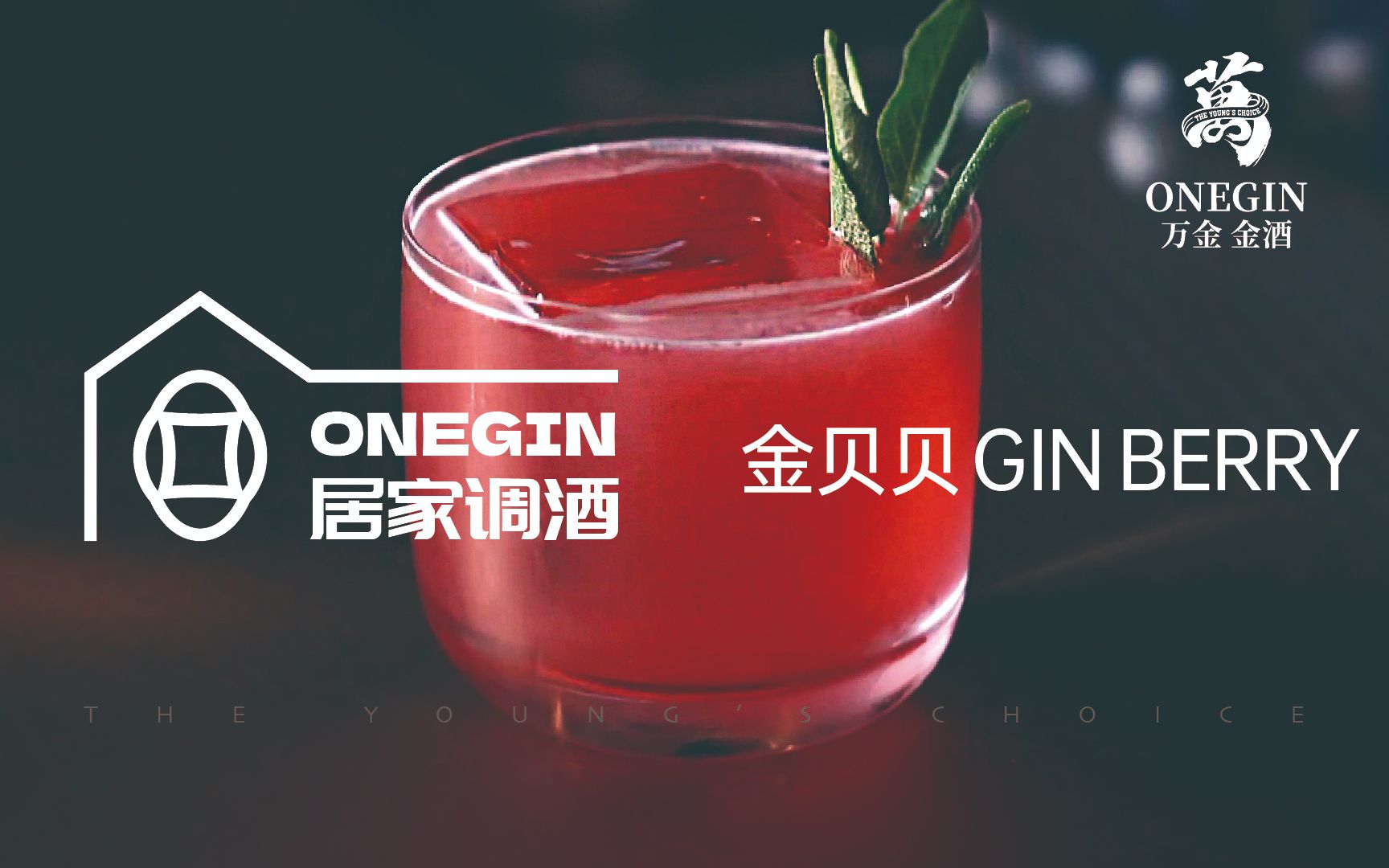 OneGin居家调酒 | 金贝贝GIN BERRY哔哩哔哩bilibili