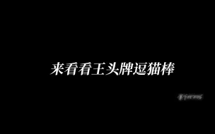 Download Video: 【莎头】王头头牌逗猫棒 用过都说好！