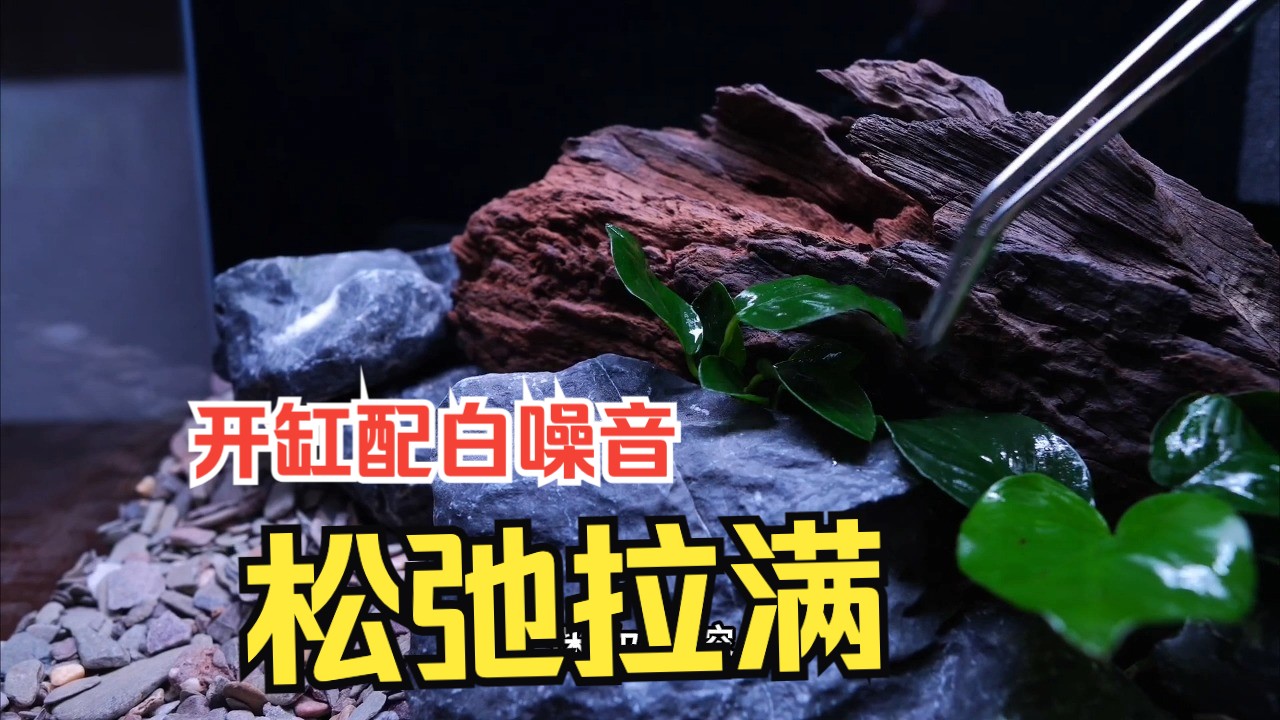 开缸系列|松弛时间 白噪音BGM + 溪流造景水草缸 Part.1哔哩哔哩bilibili