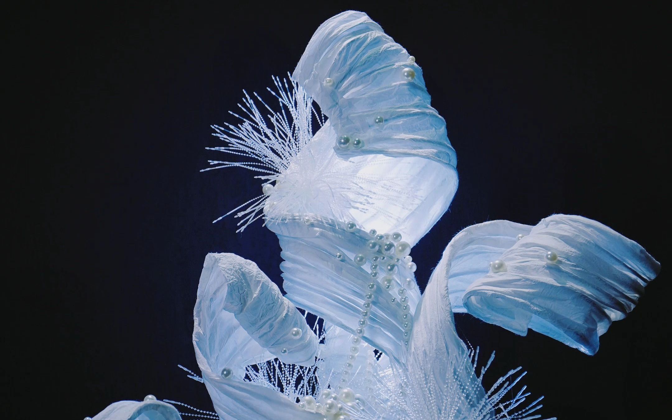 活动  疗愈艺术|绝美海底生物!装置创作diy