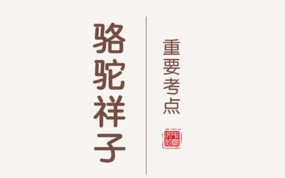 文学名著《骆驼祥子》的重要考点有这些哔哩哔哩bilibili